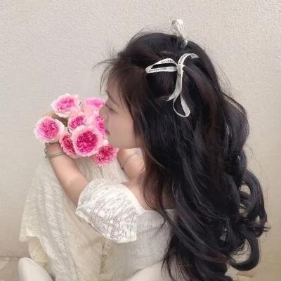 金牌主簿 在线观看